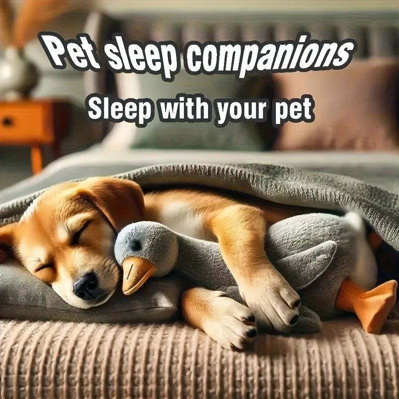 Colorful Jumbo Duck Companion