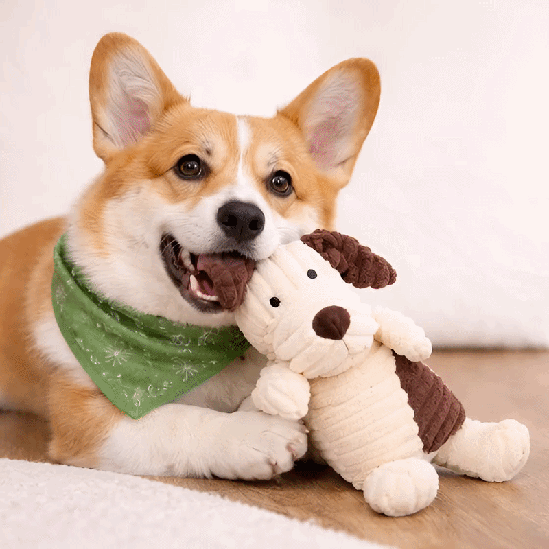 Tough Corduroy Squeaker Buddy