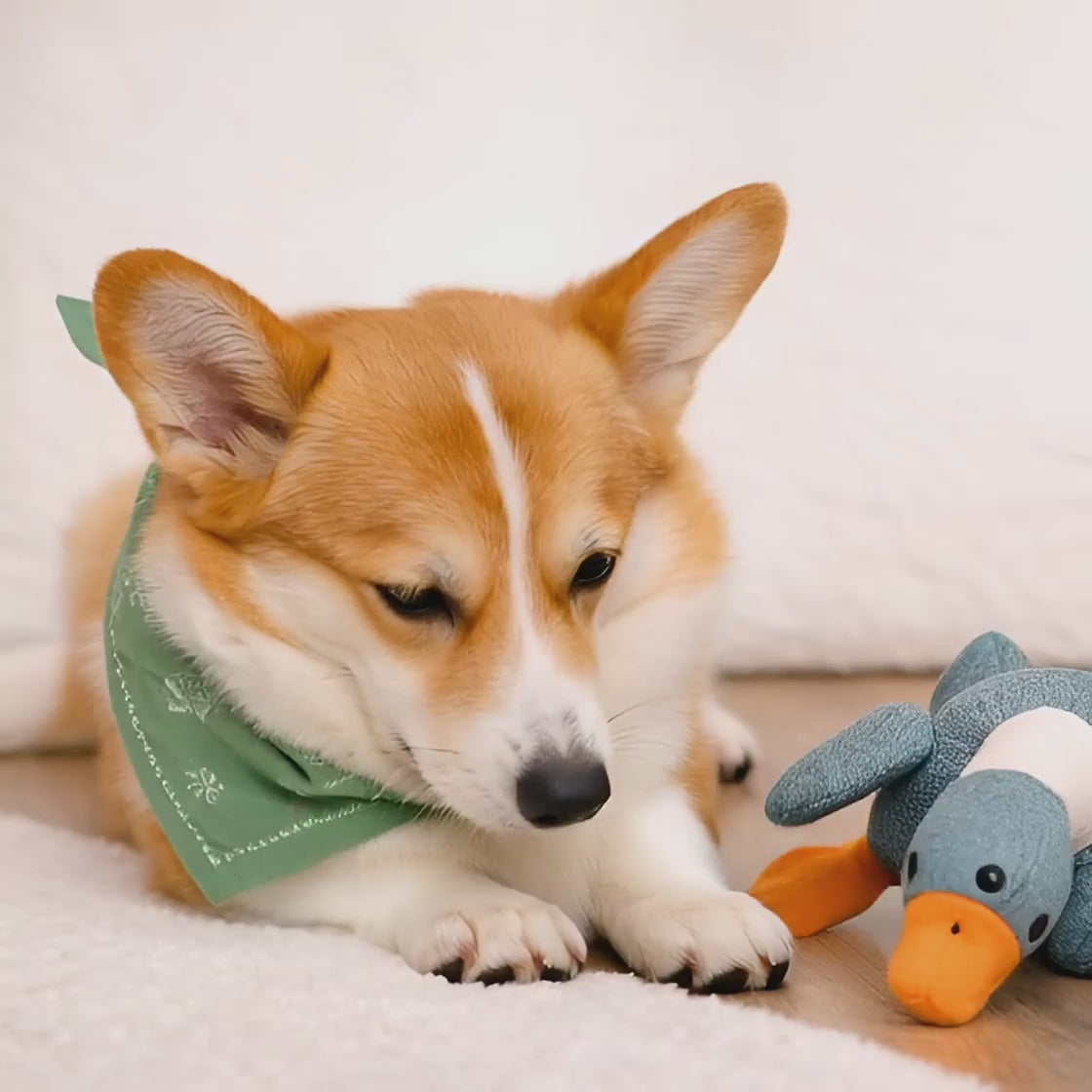 The Giant Squeaking Goose Buddy