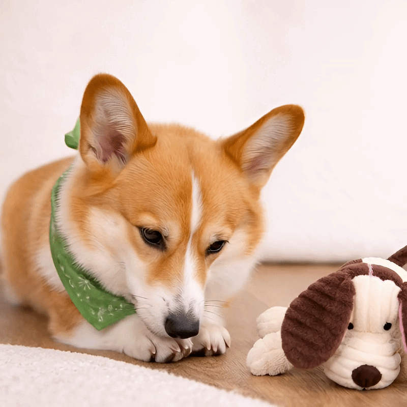 Tough Corduroy Squeaker Buddy